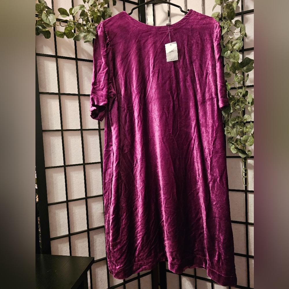 J‎ Jill Bean Bag Elegant Purple Women's Dress